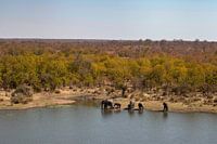 Kruger Wildpark