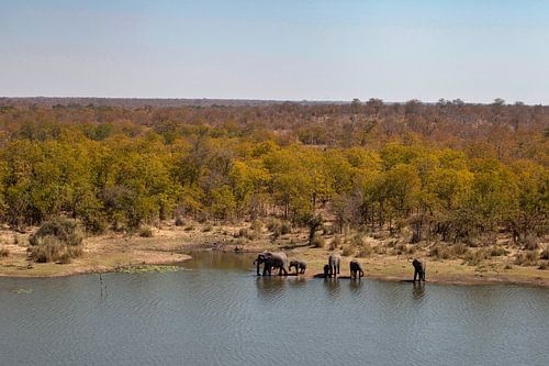 Kruger Wildpark Südafrika