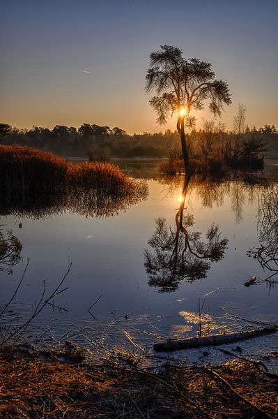 Sunrise at the Fens in Oistserwijk by Leon Okkenburg