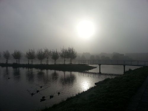 De Mist