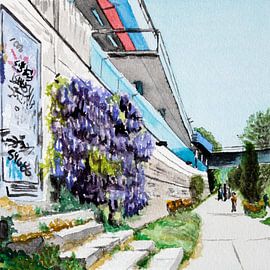 Glycines et graffitis, Draulände, Villach, Carinthie sur brushclicks