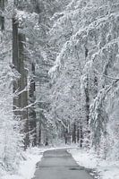 1. April 2022 letzter Schnee vor dem Frühling