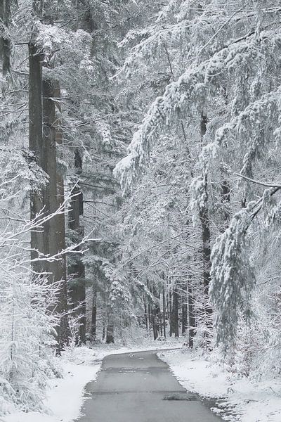 April 1, 2022 last snow for spring by Eric Wander