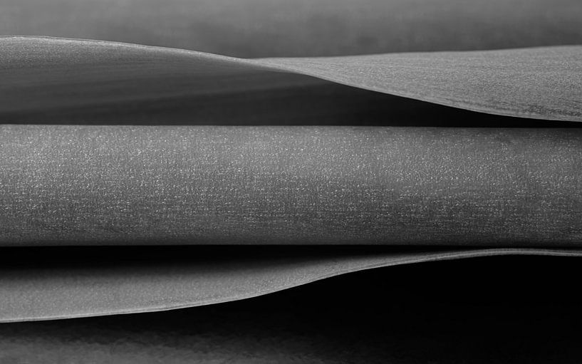 Simplicity is not always simple: The lines of a stem with leaves by Marjolijn van den Berg
