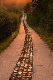 De Romeinse kassei  by Maarten Honinx