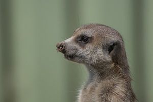 Kümmern Sie sich um Ihr Geschäft