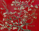 Amandelbloesem van Vincent van Gogh (Donker rood) van Masters Revisited thumbnail