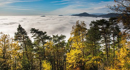 Brouillard d'automne dans les Vosges