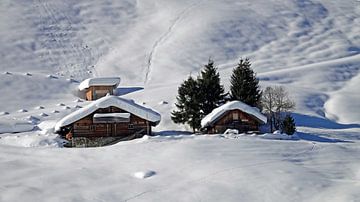 diep ingesneeuwd in alpenhutten op de bergen van chamois huntress