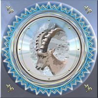 Zodiac Capricorn