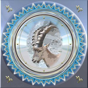 Sternzeichen Steinbock/Capricornus