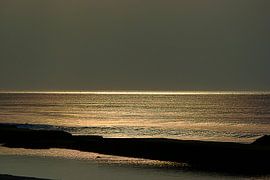 Lumière sombre