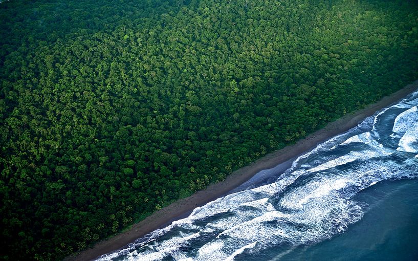 La forêt tropicale et la mer vue d'en haut. Costa Rica par Catalina Morales Gonzalez
