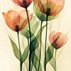Tulipes dessin abstrait sur Dakota Wall Art