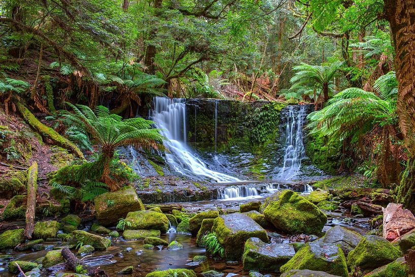 The Russell Falls by Yevgen Belich