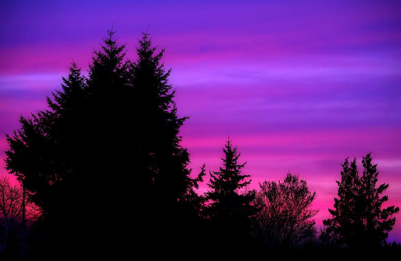 Tree silhouettes in the sunset by ManfredFotos