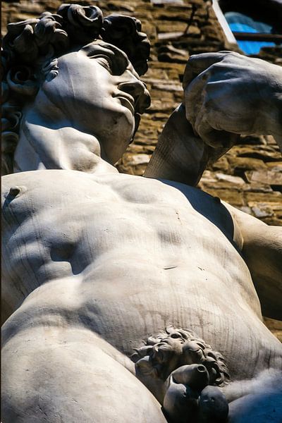 David by Dieter Walther