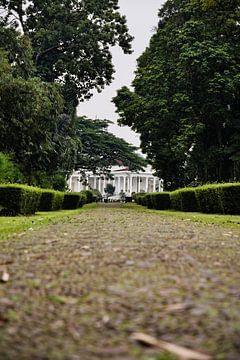 Groen pad naar het presidentieel paleis in Bogor van Frank Photos