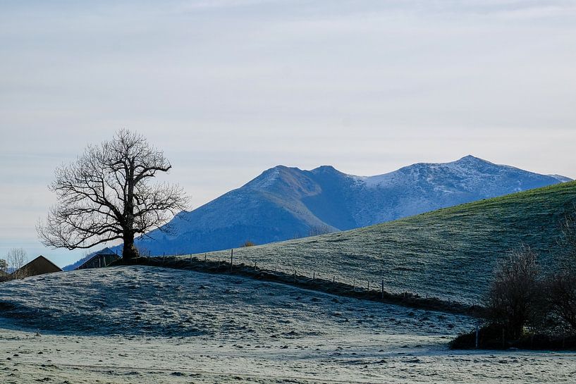 The first winter cold by Colette RICHARD