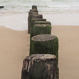Strandposten von Soutelande von Eline Langedijk