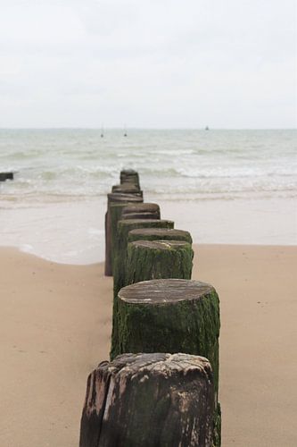 Beach posts of Soutelande