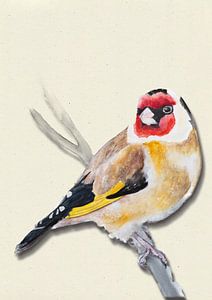 Putter mit Schattenvogel Illustration