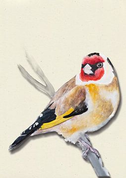 Putter met schaduw vogel illustratie