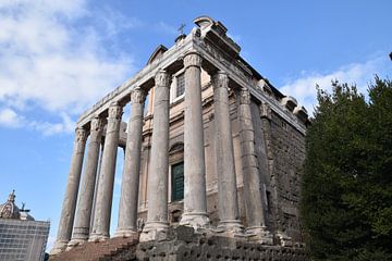 Forum romain de Rome sur Matthias Spartz