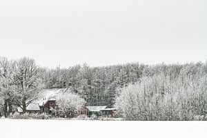 Altes Bed-and-Breakfast-Bauernhaus zwischen den Bäumen in einer verschneiten Landschaft in der Provi