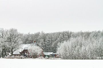 oude bed and breakfast boerderij tussen de bomen in een besneeuwd landschap in de provincie Groninge van Margriet Hulsker