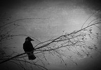 January afternoon