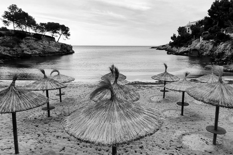 Sonnenschirme von Walljar