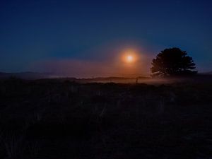 Pleine lune sur le Vogelmeer-3 sur Pim Weeda