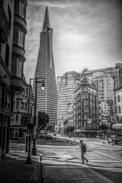 Transamerica Pyramid by Loris Photography