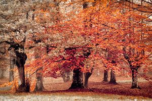 Moodland