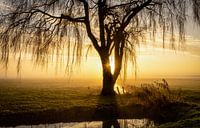 Rustmoment in de polder