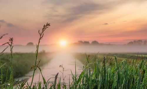 Sonnenaufgang im Nebel.