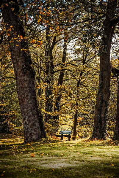 Banc de parc par Freddy Hoevers