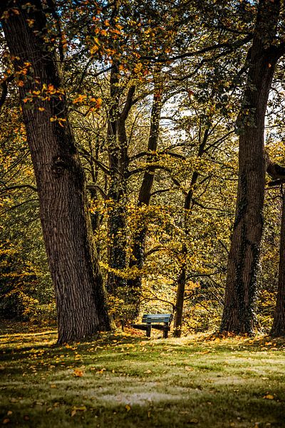 Park Bench van Freddy Hoevers