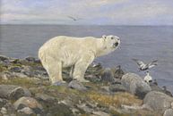 Eisbär und Eiderenten an der Küste, Richard Friese von Meisterhafte Meister Miniaturansicht