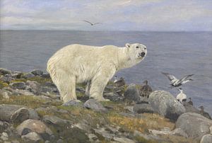 Ours polaire et canards eiders sur la côte, Richard Friese
