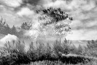 Mysticism 3