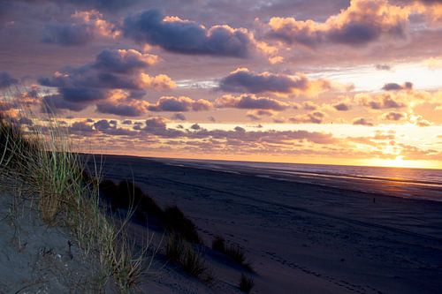Dunes Ameland