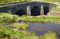 Steinbrücke in Sligachan Schottland, Vereinigtes Königreich von Babetts Bildergalerie Miniaturansicht