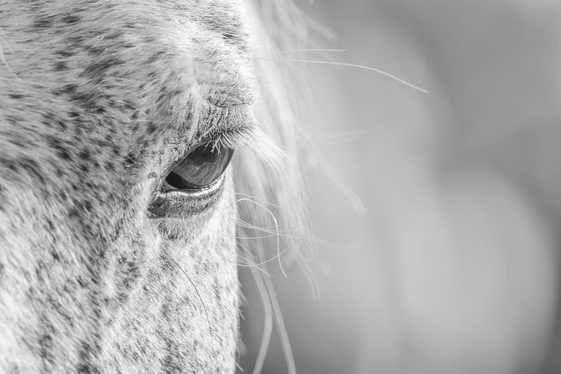 I See You (IV) (noir et blanc) par Kris Hermans