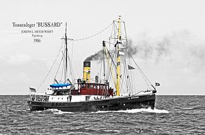 Tonnenleger Bussard