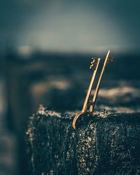 Davy Jones Key van de Utregter Fotografie