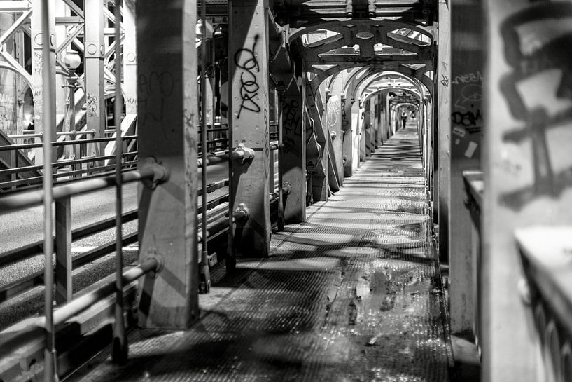 Newcastle, Hochbahnbrücke von Frank Hendriks