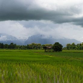 Thailand van S. van den Ham