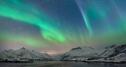 Nordlichter im nächtlichen Himmel über den Lofoten Inseln in Nordnorwegen
